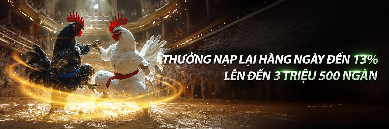 Tải ứng dụng 555win Nổ Hũ