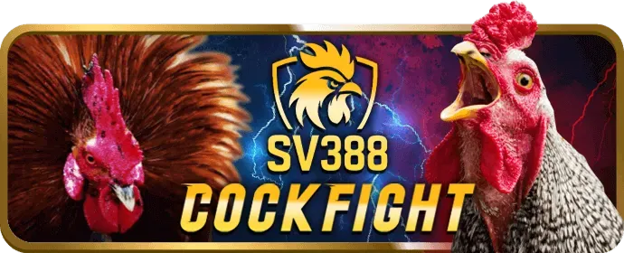 Ưu đãi chào mừng thành viên mới 555win